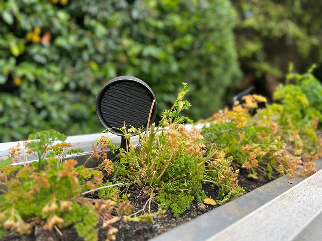 'Luxury outdoor living space with integrated garden audio UK'